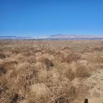 95 Th And Avenue A W, Rosamond, CA 93560