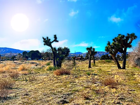 W 13th Street, Palmdale, CA 93551 photo 12