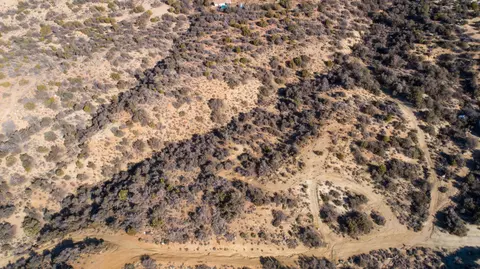 Finchgrove Avenue, Juniper Hills, CA 93553