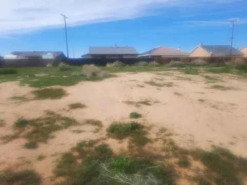 Neuralia Road, California City, CA 93505