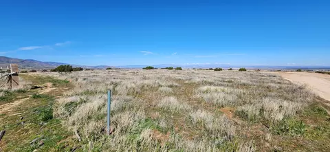 Barrel Spring Road E, Palmdale, CA 93550 photo 4