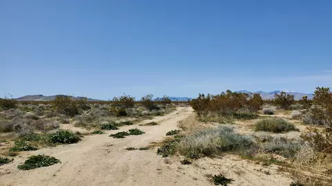 Vicinity 25th St W S/o Gibbs, Mojave, CA 93501