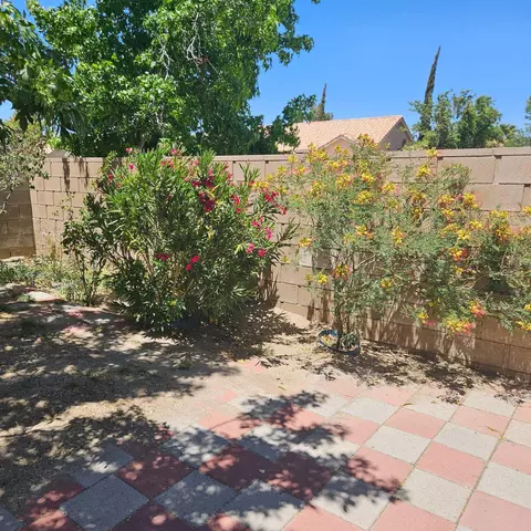 Exterior - 36833 57th St E, Palmdale, CA 93552 photo 9 of 11