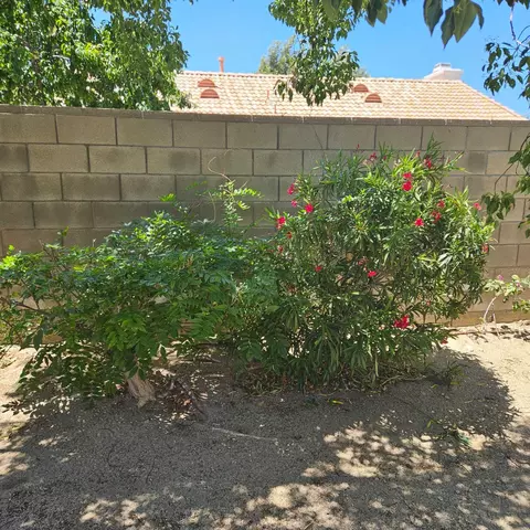 Exterior - 36833 57th St E, Palmdale, CA 93552 photo 6 of 11