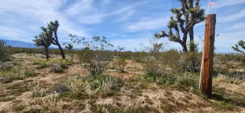 Vic Ave W6 183 Ste, Llano, CA 93544