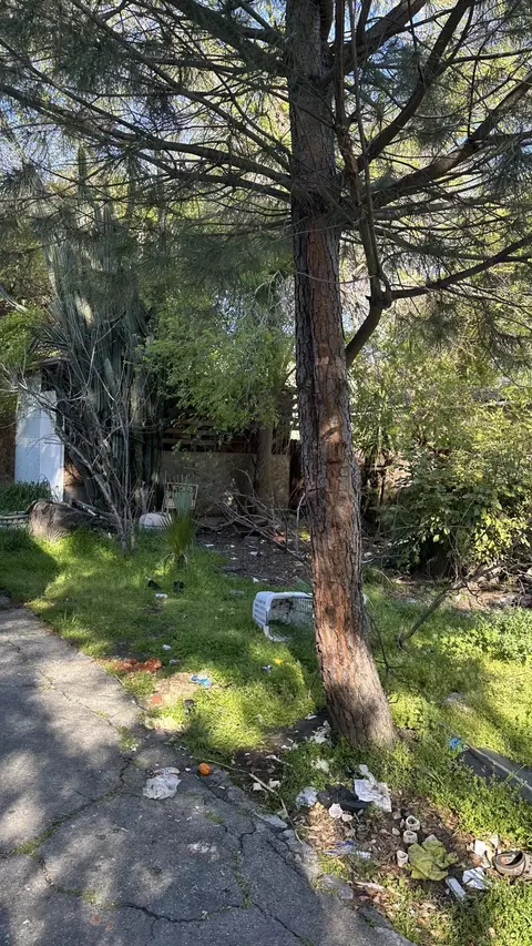 9752 Tujunga Canyon Blvd, Tujunga, CA 91042 photo 10