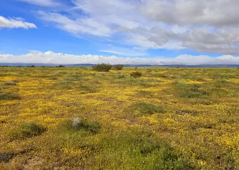 125 Th St W And Gaskell Rd, Rosamond, CA 93560