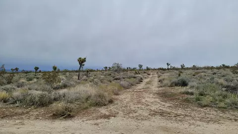 202 Nd St E Ave X4, Llano, CA 93544 photo 3