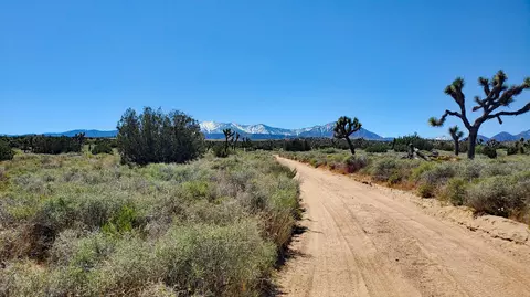 180 Th St East Ave Y, Llano, CA 93544