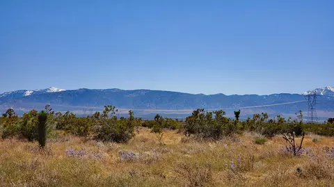 Vicinity Ave U & 257th St East, Llano, CA 93544 photo 6