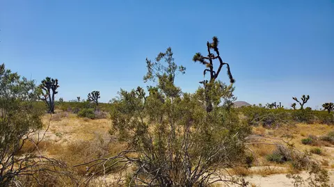 Vicinity Ave U & 257th St East, Llano, CA 93544 photo 8