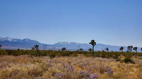 Vicinity Ave U & 257th St East, Llano, CA 93544 photo 7