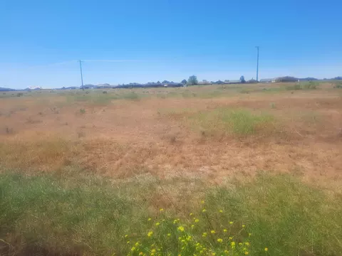 Lewis Avenue, California City, CA 93505