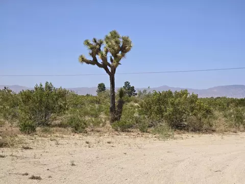 0 Montiverde Rd, Mojave, CA 93501 photo 3
