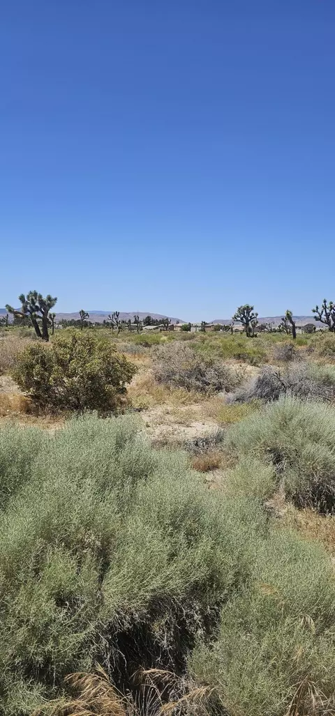 Palmdale Blvd / 55th St E, Palmdale, CA 93550 photo 3
