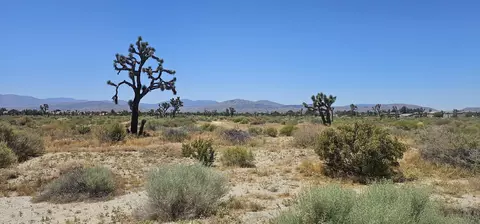 Palmdale Blvd / 55th St E, Palmdale, CA 93550