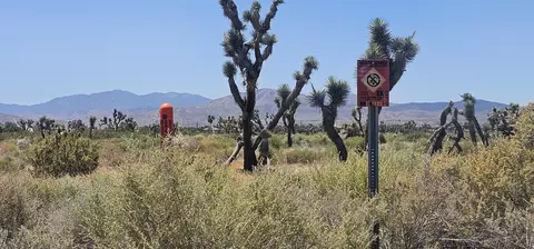 Palmdale Blvd / 55th St E, Palmdale, CA 93550 photo 8