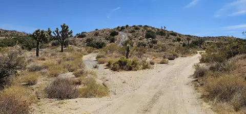 P Werner Way Vic 140th St E, Valyermo, CA 93563 photo 8
