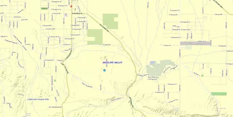 P Werner Way Vic 140th St E, Valyermo, CA 93563 photo 16