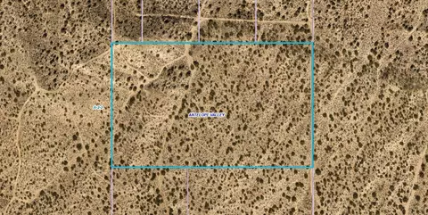 P Werner Way Vic 140th St E, Valyermo, CA 93563 photo 11