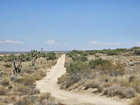 P Werner Way Vic 140th St E, Valyermo, CA 93563 photo 7