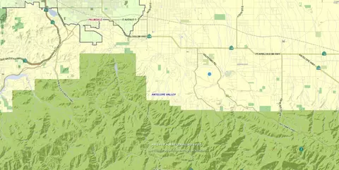 P Werner Way Vic 140th St E, Valyermo, CA 93563 photo 18