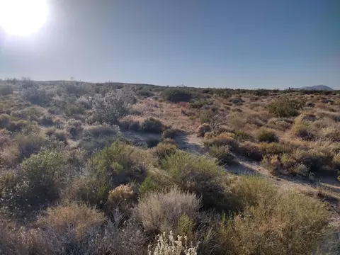 Frontage Road, Rosamond, CA 93560 photo 2