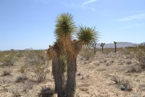 46 Th St W, Mojave, CA 93501