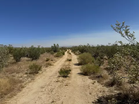 Tehachapi Willowsprings Road, Rosamond, CA 93560 photo 7