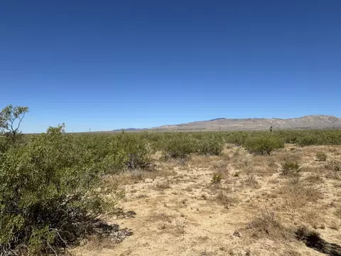 Tehachapi Willowsprings Road, Rosamond, CA 93560 photo 5