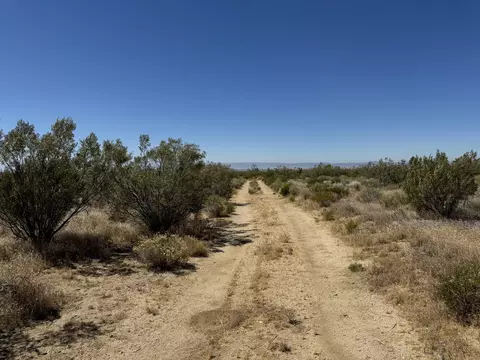 Tehachapi Willowsprings Road, Rosamond, CA 93560 photo 8