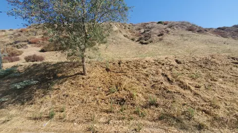 Silver St, Val Verde, CA 91384 photo 7