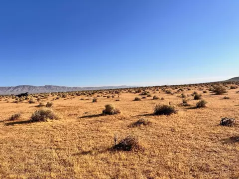 Fifth, Mojave, CA 93501 photo 9