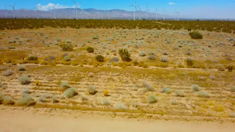 Miller Avenue, Mojave, CA 93501 photo 7