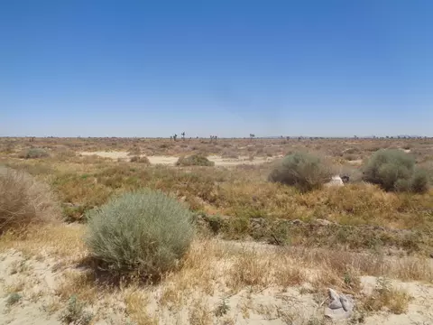 Ave. X 180th Ste, Llano, CA 93544 photo 12