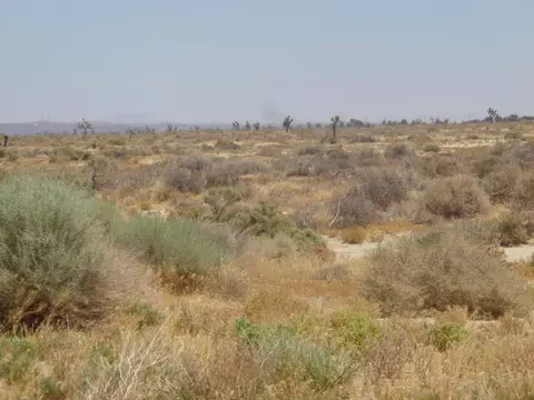 Ave. X 180th Ste, Llano, CA 93544 photo 9