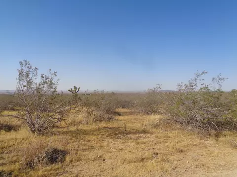 Ave. X 180th Ste, Llano, CA 93544 photo 6