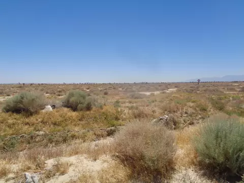Ave. X 180th Ste, Llano, CA 93544 photo 11