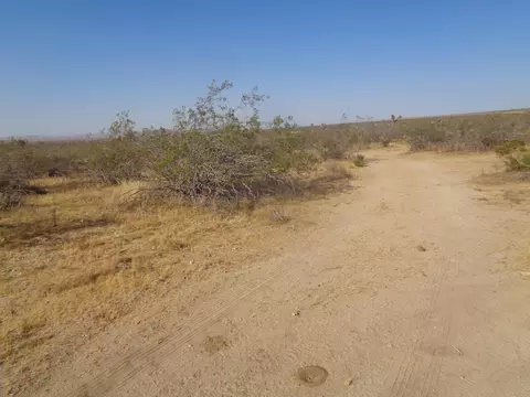 Ave. X 180th Ste, Llano, CA 93544
