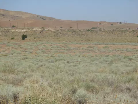 Ave. X 180th Ste, Llano, CA 93544 photo 13