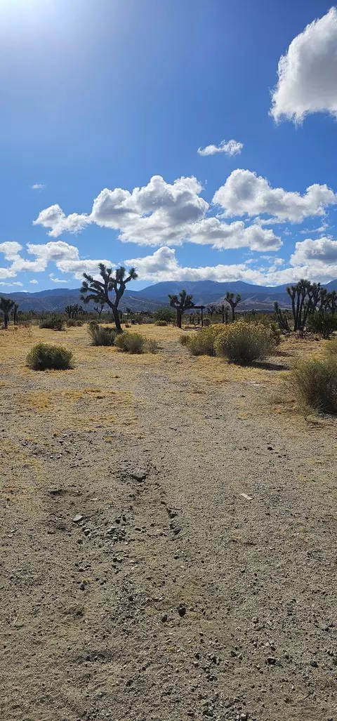 Avenue X2, Llano, CA 93544 photo 5