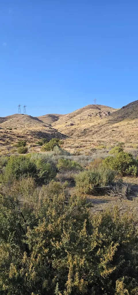 Soledad Pass Road, Acton, CA 93510 photo 4