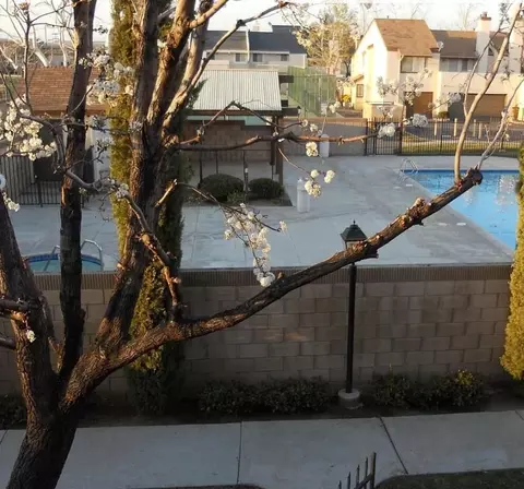 Exterior - 1850 Ave J2 E #2, Lancaster, CA 93535 photo 3 of 6