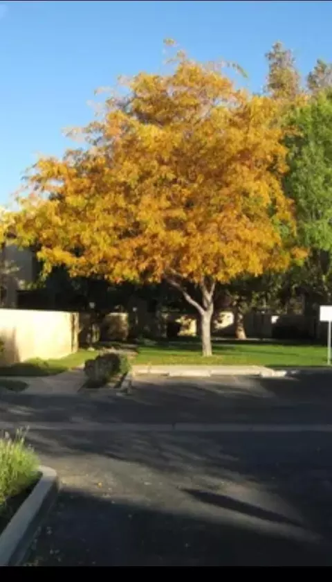 Exterior - 1850 Ave J2 E #2, Lancaster, CA 93535 photo 6 of 6