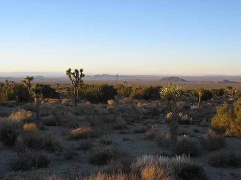 Other - 30840 234th235th St E, Llano, CA 93544 photo 4 of 17
