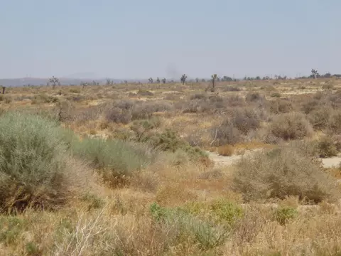 Ave. L 12 98th St. E, Palmdale, CA 93591 photo 4