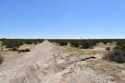 Dailey Ave, Mojave, CA 93501 photo 2