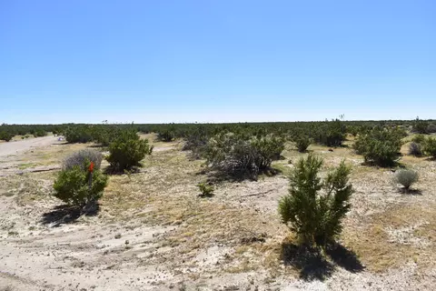 Dailey Ave, Mojave, CA 93501 photo 6
