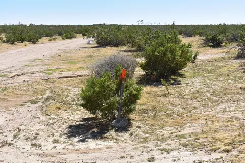 Dailey Ave, Mojave, CA 93501