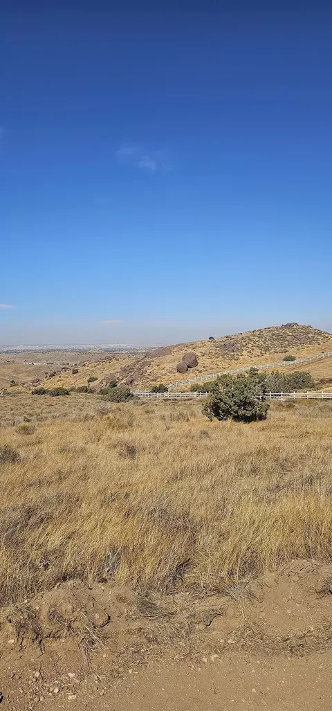 Vic Carson Mesa Rd Rough, Palmdale, CA 93550 photo 5
